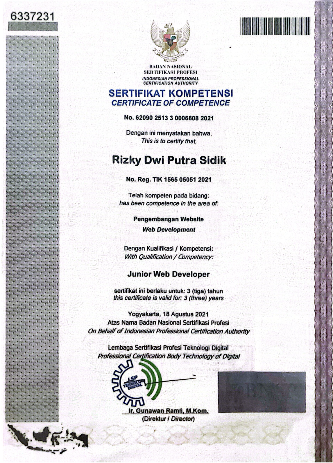 Junior Web Developer BNSP